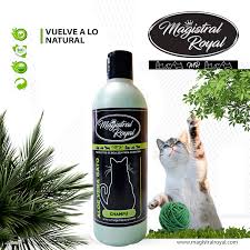 Magistral royal champu gato 500ml