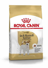 Royal canin Jack Russel adult 3 kilos
